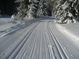 bezkarske_stopy