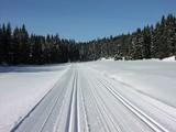 bezkarske_stopy_3
