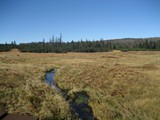 IMG_0053