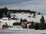 zima-hl